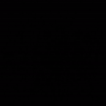 1000000807