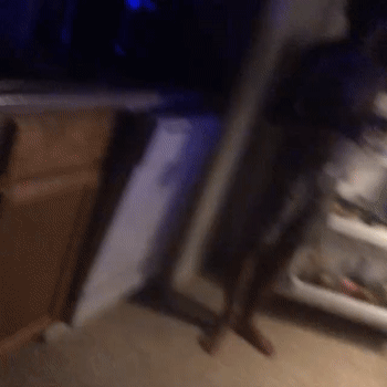 The gay dance