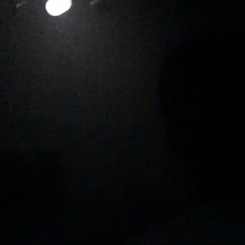 R4N SHIT (Official Video)