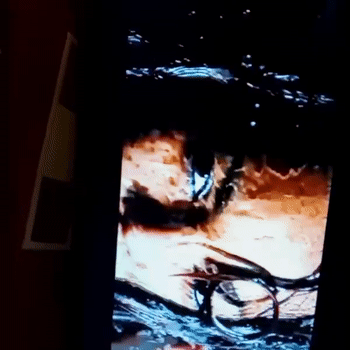 26 Ralph alpha