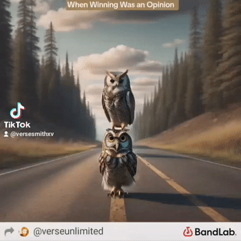 When Winning Was an Opinion 
