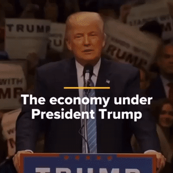 Is Trump Ok?