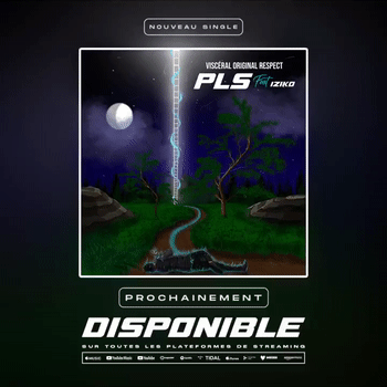 viscéral original respect feat IZIKO " PLS "