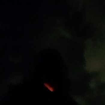 video-rich trap (05:11)