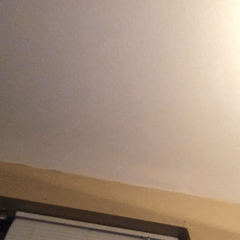 ICE (22:23:24)