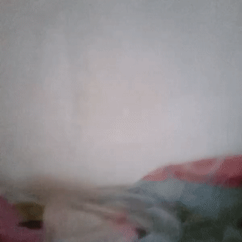 ахахдкзвьпшаж