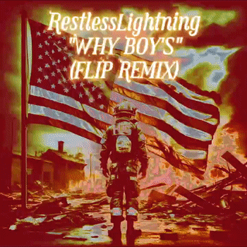 Why Boys Flip Remix 