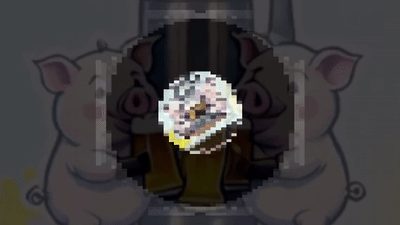 IMADHCS- Guiness Pigs