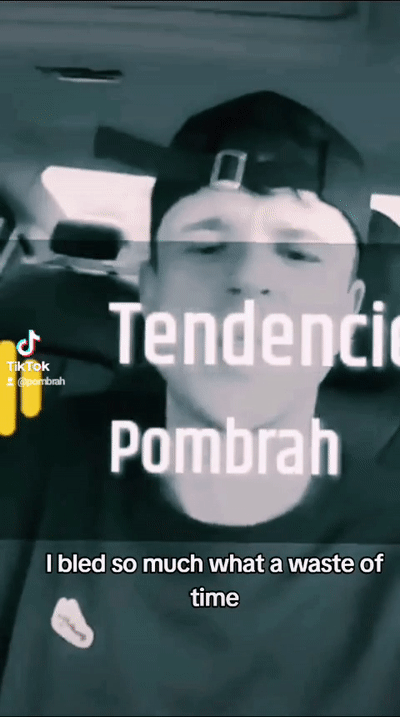 PomBrah Grimeyfree