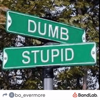 dumb&stupid 