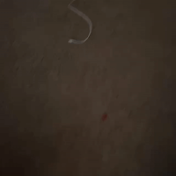 Gangsta (13:51:03)
