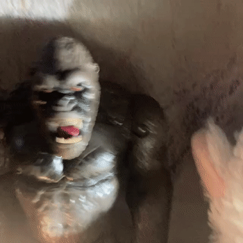 kong disstrack (Official music video) 
