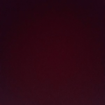 GANADOR