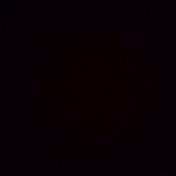 video-Gangsta (05:51)