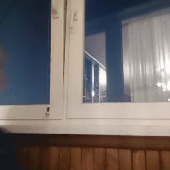 пророчество 