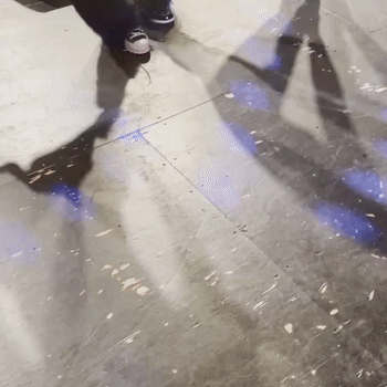 Paparazzi Performance