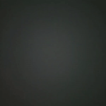 dbz l