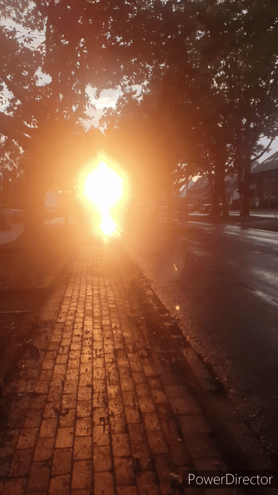 Die_Welt__Full HD 1080p_MEDIUM_FR30