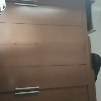 video-fightin to be s (12:08)