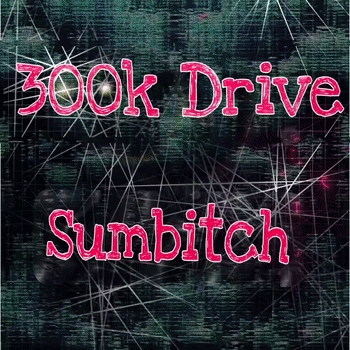 300k Drive