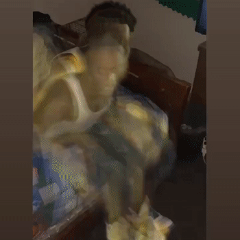 freestyle 