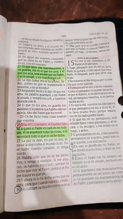 👉La Inteligencia Sin La Sabiduría 🙇