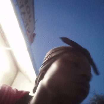 the baby rachet king 