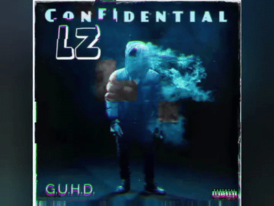 LZ - Confidential 