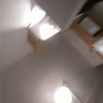 Dummie
