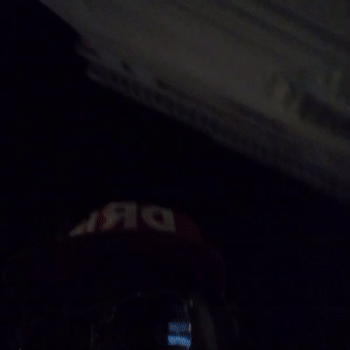 B.D.G.