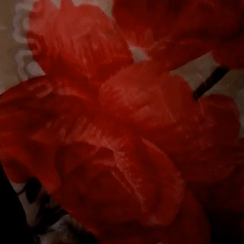 video-Don't move (14:44)