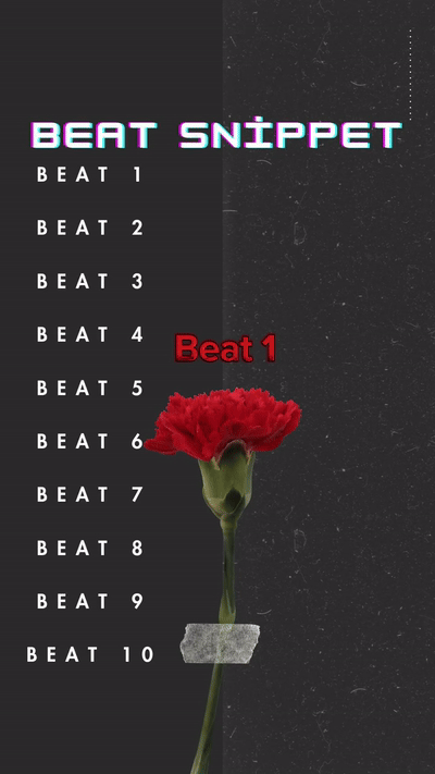 beat snippet