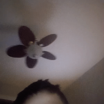 video-Fuego (18:51)