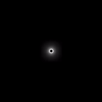 Dame Luz • FlowMayami FT Dei V, Omar Courtz