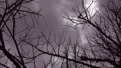 I'm still here - Enanitos Verdes, Nico, FlowMayami(Lyric Video)